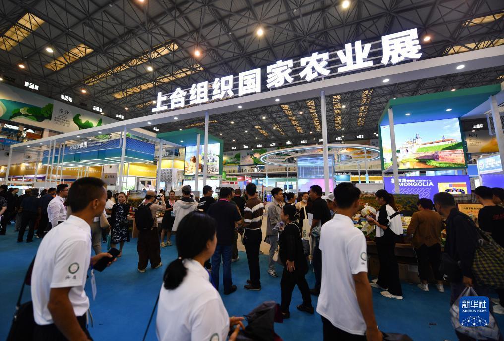 电子游戏娱乐网址大全